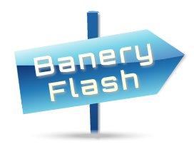 Banery Flash, bannery reklamowe na stronę www