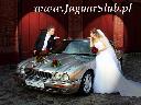 Wynajem limuzyn Auto do ślubu Łódź Jaguar