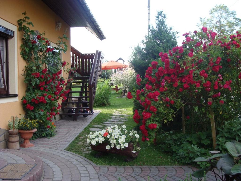 Kwatera w górach / Gorce-Skawa koło Rabki-Zdrój, Rabka Zdrój, małopolskie