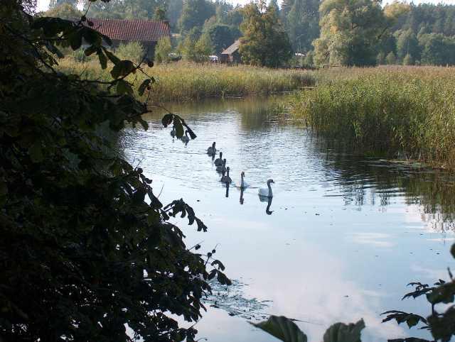 Mazury Rudka Willa COUNTRYSIDE zaprasza, Szczytno, warmińsko-mazurskie