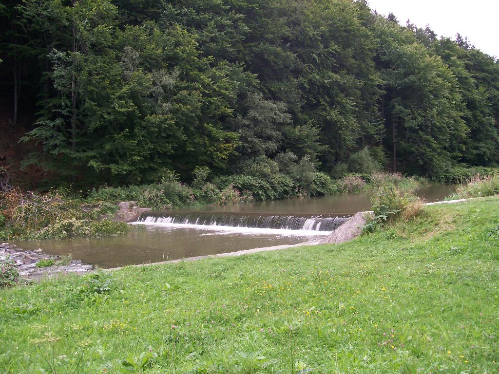 ZATRUDNIĘ PANIĄ NA BARDZO DOBRYCH WARUNKACH., CIESZYN, śląskie