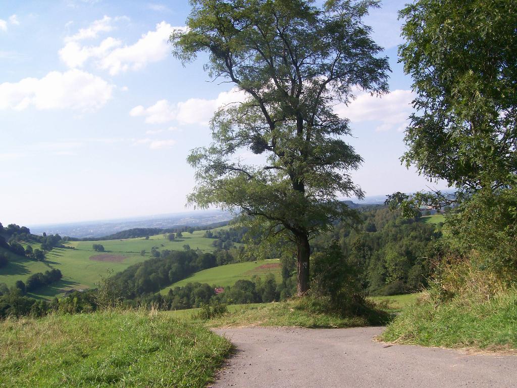 ZATRUDNIĘ PANIĄ NA BARDZO DOBRYCH WARUNKACH., CIESZYN, śląskie