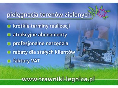 www.koszenie.legnica.pl - kliknij, aby powiększyć