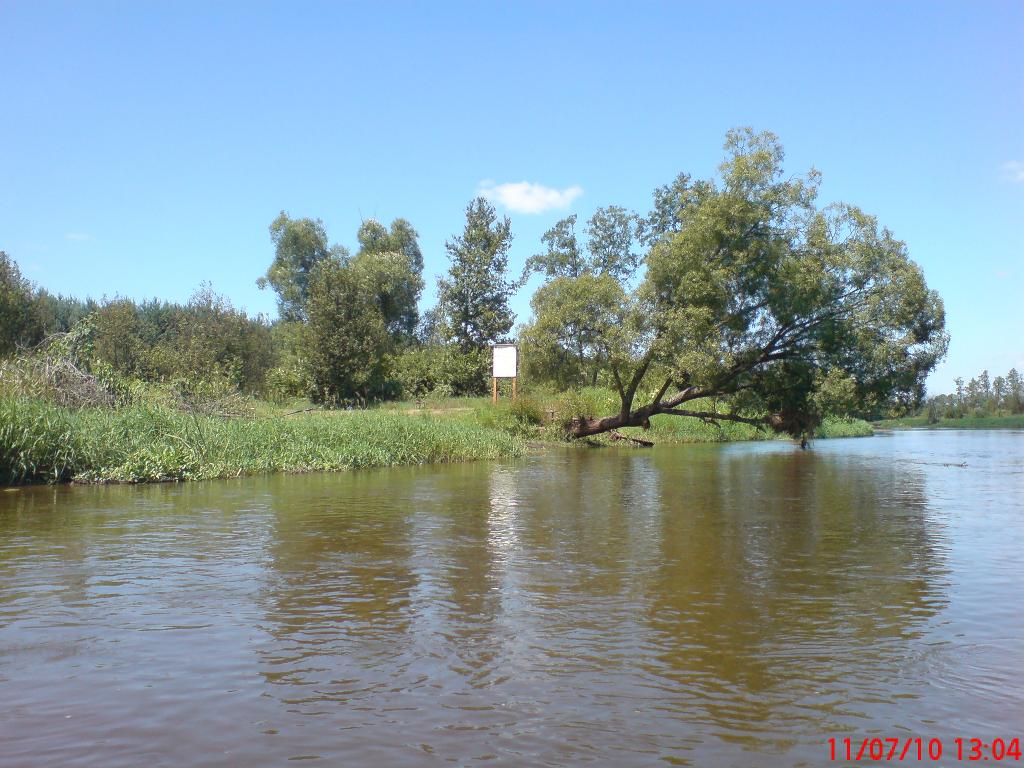 Spływy kajakowe Pilicą relaks i przygoda w kajaku, Ręczno, Przedbórz, Sulejów, Piotrków, łódzkie