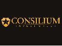 Consilium Invest Group
