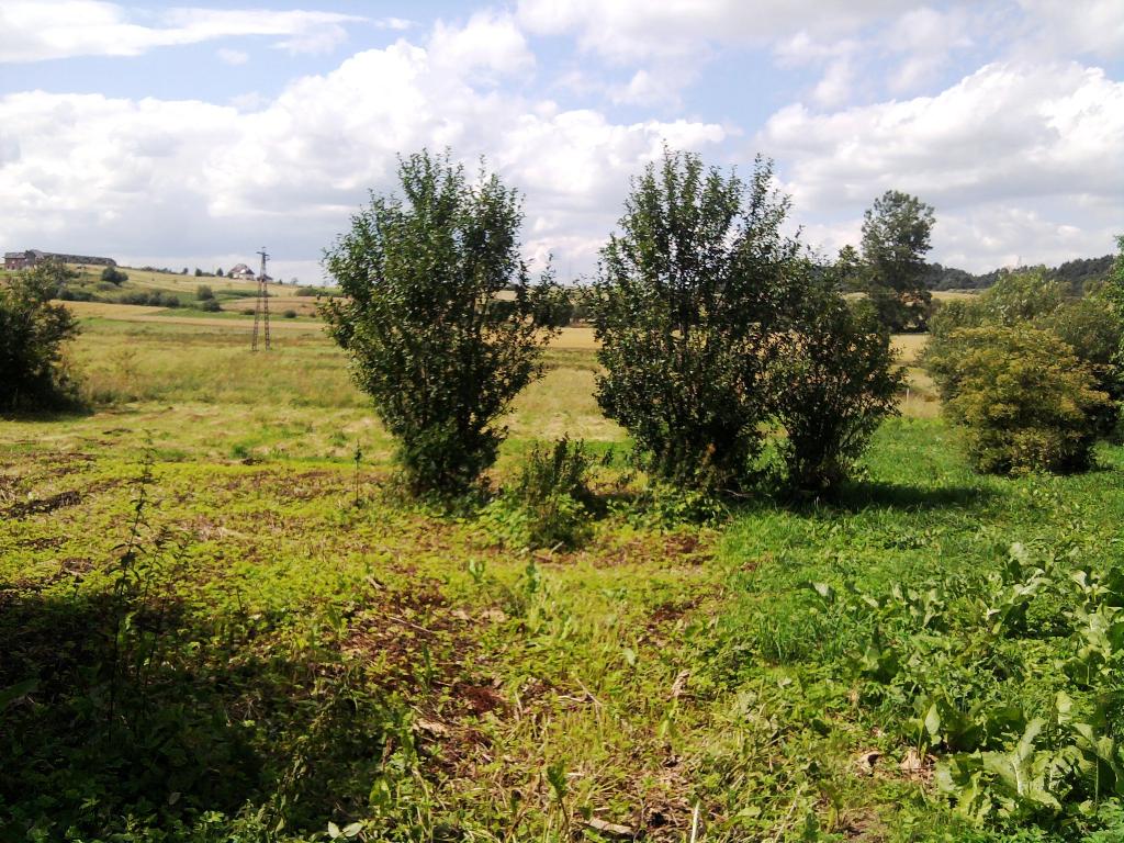 Nieruchomości-działki, Sanok, podkarpackie