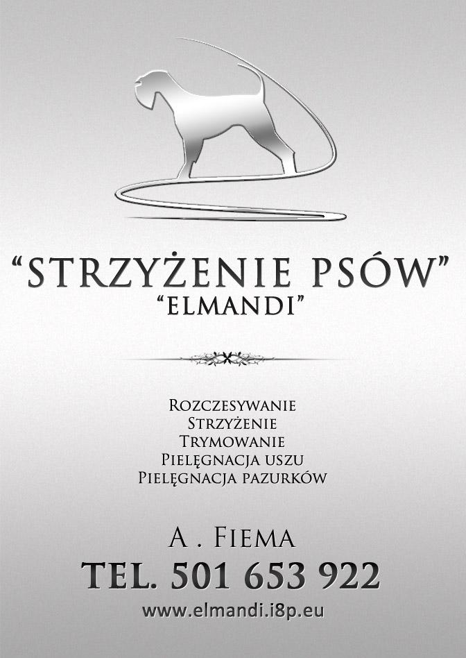 Strzyżenie i pielęgnacja psów i kotów, Kraków, małopolskie