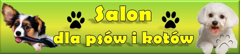 Salon pielęgnacji psów i kotów, Legionowo, mazowieckie