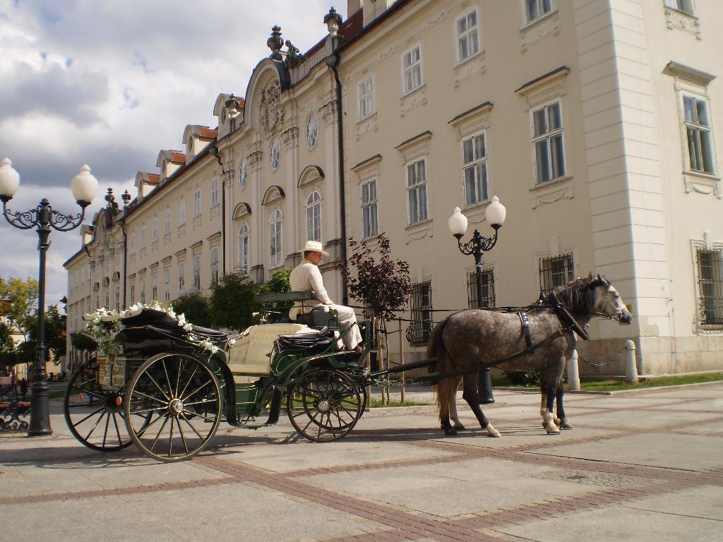 Powóz konny bryczka do ślubu kuligi, Jelenia Góra, dolnośląskie