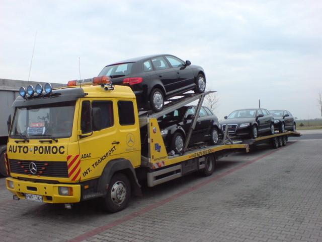 KRAJOWY I MIĘDZYNARODOWY TRANSPORT AUT AUTO POMOC, WRZEŚNIA, wielkopolskie