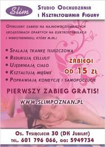 Henna brwi+rzęsy+regulacja+lifting twarzy 20 zł, Poznań, wielkopolskie