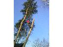 Profesjonalna wycinka drzew 0 500 074 730, Płońsk, mazowieckie