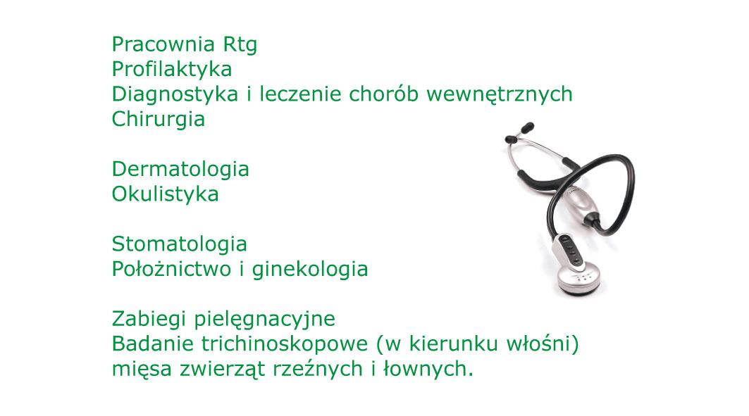 Weterynarz Rypin,Rtg Rypin,Usg Rypin,Sterylizacja , kujawsko-pomorskie