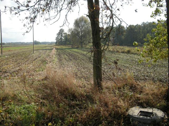 Działka przemysłowo-inwestycyjna - Płońsk. Bezpośr