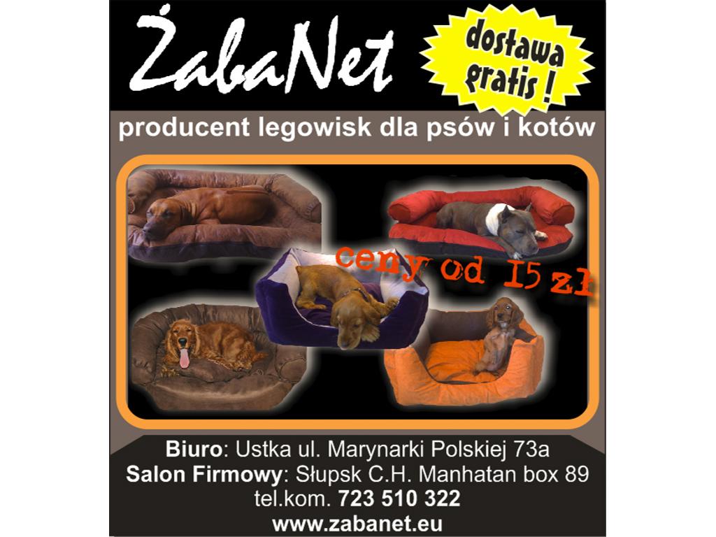 ŻabaNet producent legowiska dla psów i kotów, Ustka, pomorskie