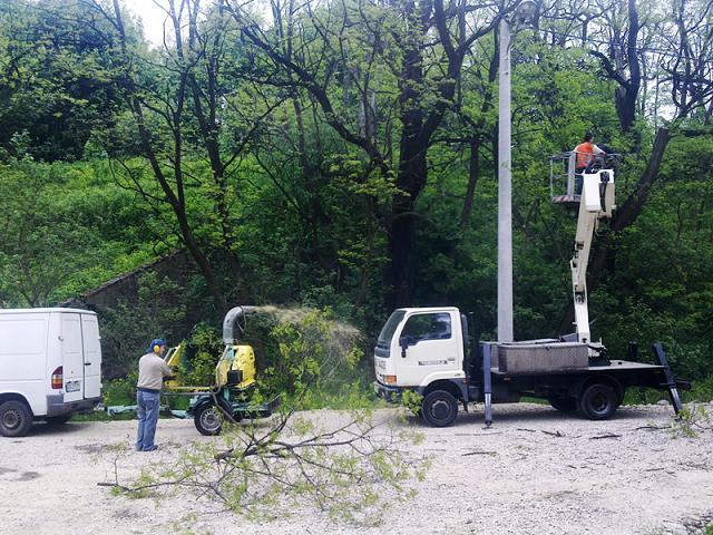 Wycinka drzew przycinanie galezi Bytom Chorzów Tg, Radzionków, śląskie