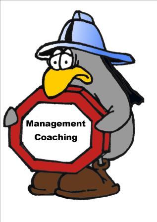 Management  Coaching  Consulting, Warszawa, mazowieckie