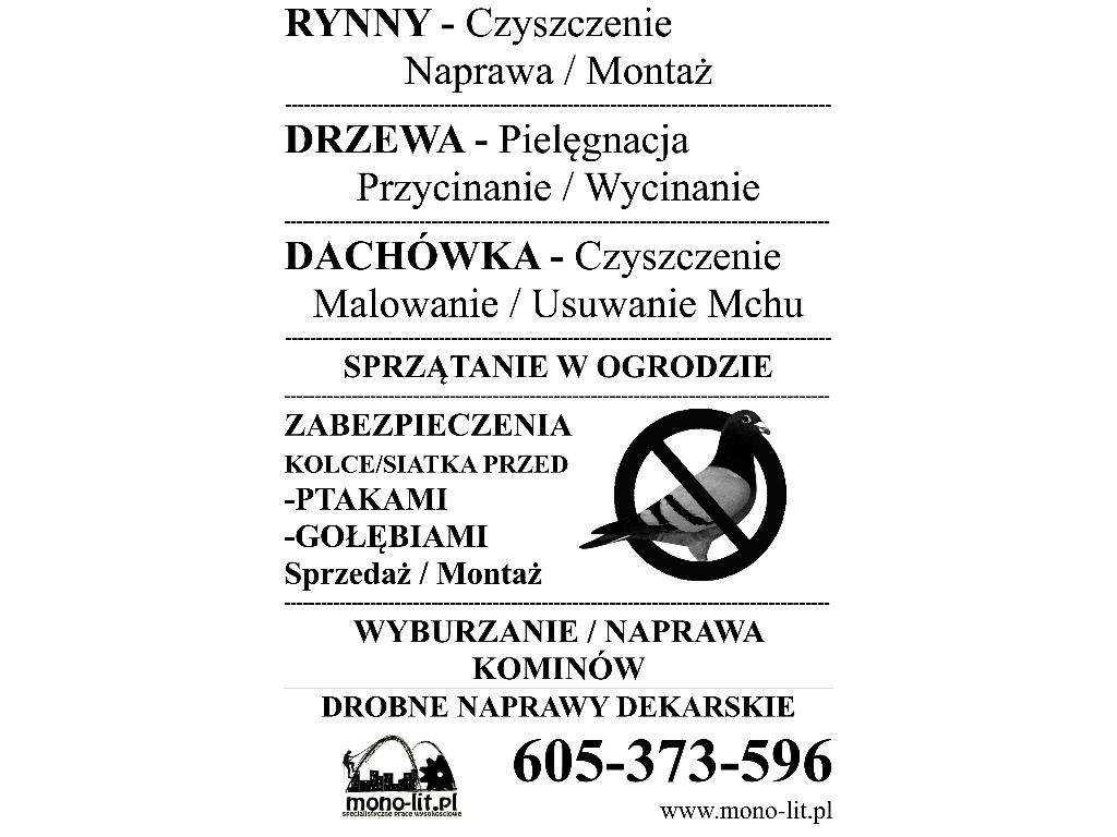 Wrocław odśniezanie dachów, rozmrazanie rynien, Wrocław, Zielona Góra , dolnośląskie