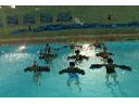 zajęcia aqua fitness z deseczkami pływackimi