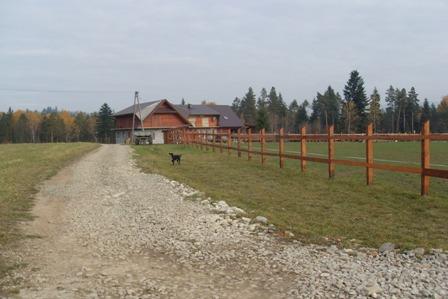 Pensjonat dla koni, kulig, jazdy konne, konie, Wysoka, małopolskie