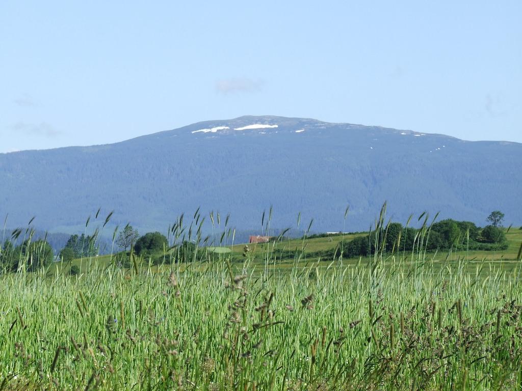 Babia Góra widok z domu