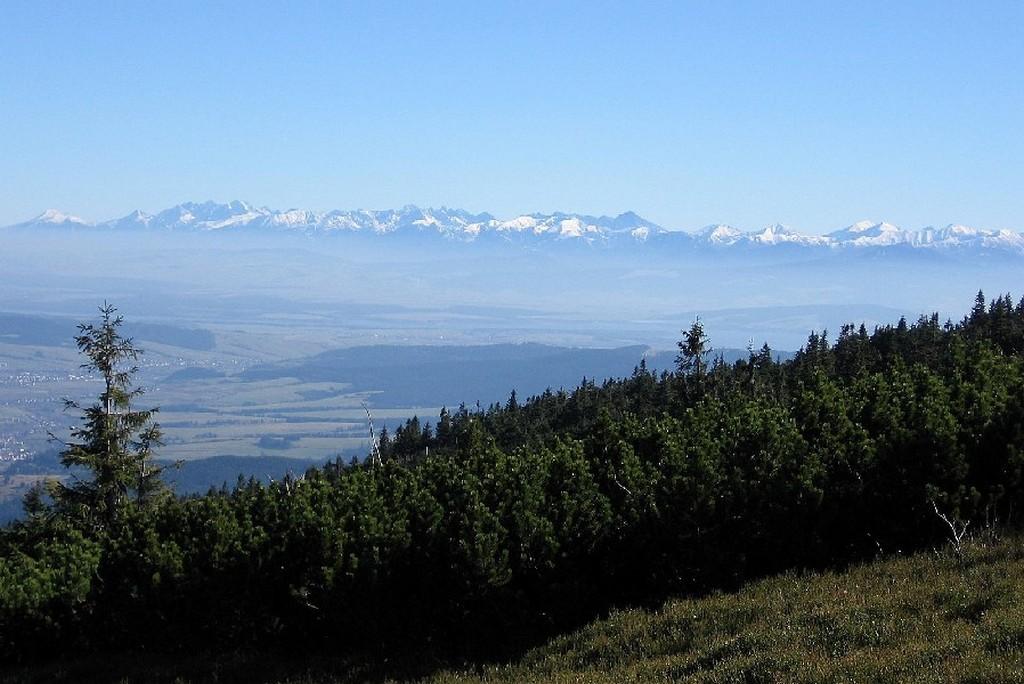 Widok z Babiej Góry na Tatry