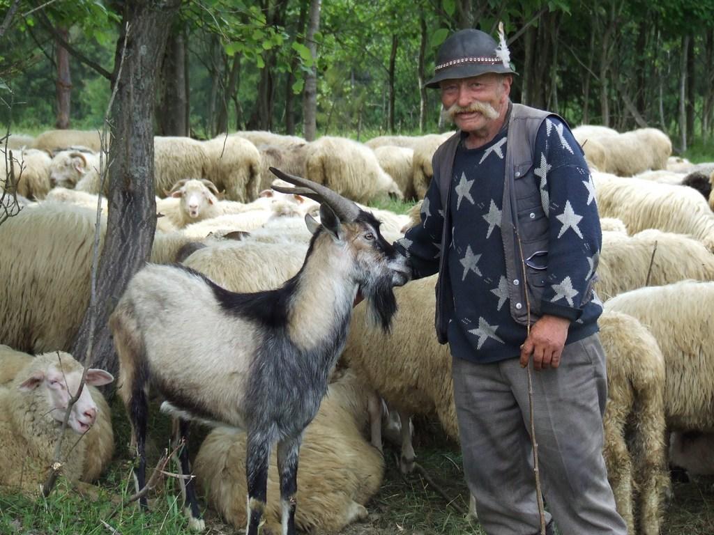 Bacówka tradycyjny wyrób oscypka