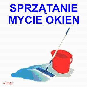 Mycie okien, usługi porządkowe Poznań, Gniezno , wielkopolskie