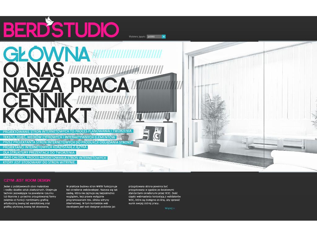 Web design, rysunek, ilustrator, animacja, Warszawa, mazowieckie