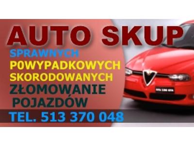 Zdjęcie nr 1 - kliknij, aby powiększyć