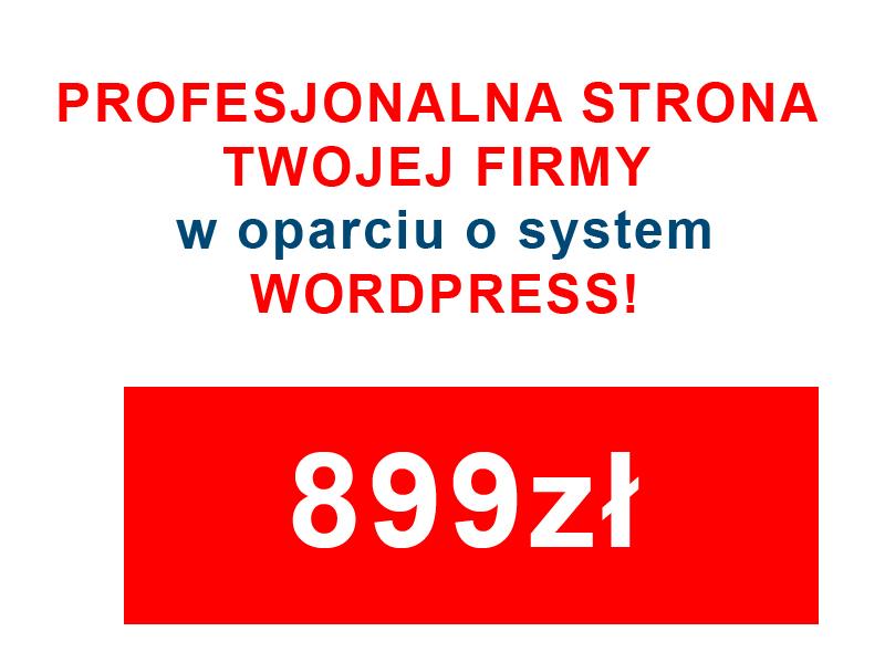 Wykonam stronę internetową , bloga na wordpress