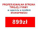 Wykonam stronę internetową , bloga na wordpress, cała Polska