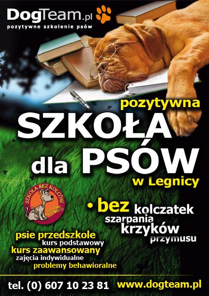 Szkoła dla psów, szkolenie psów, agility, psy, Legnica, Chojnów, Jawor, Złotoryja, Lubin, dolnośląskie