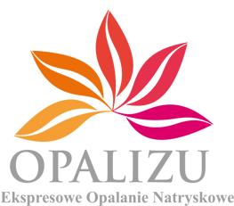 Logo Opalizu