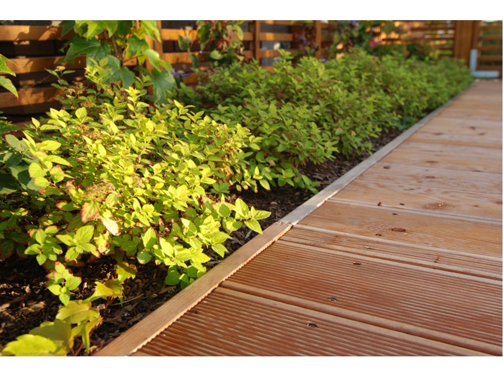Ogród na dachu - rośliny okrywowe
