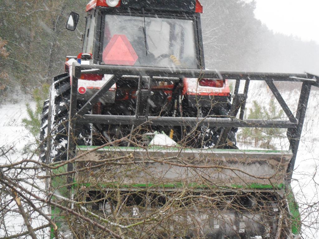 WYCINKA DRZEW PIELĘGNACJA, BĘDZIN,SOSNOWIEC,JAWORZNO,DĄBROWA GÓRNICZA, śląskie