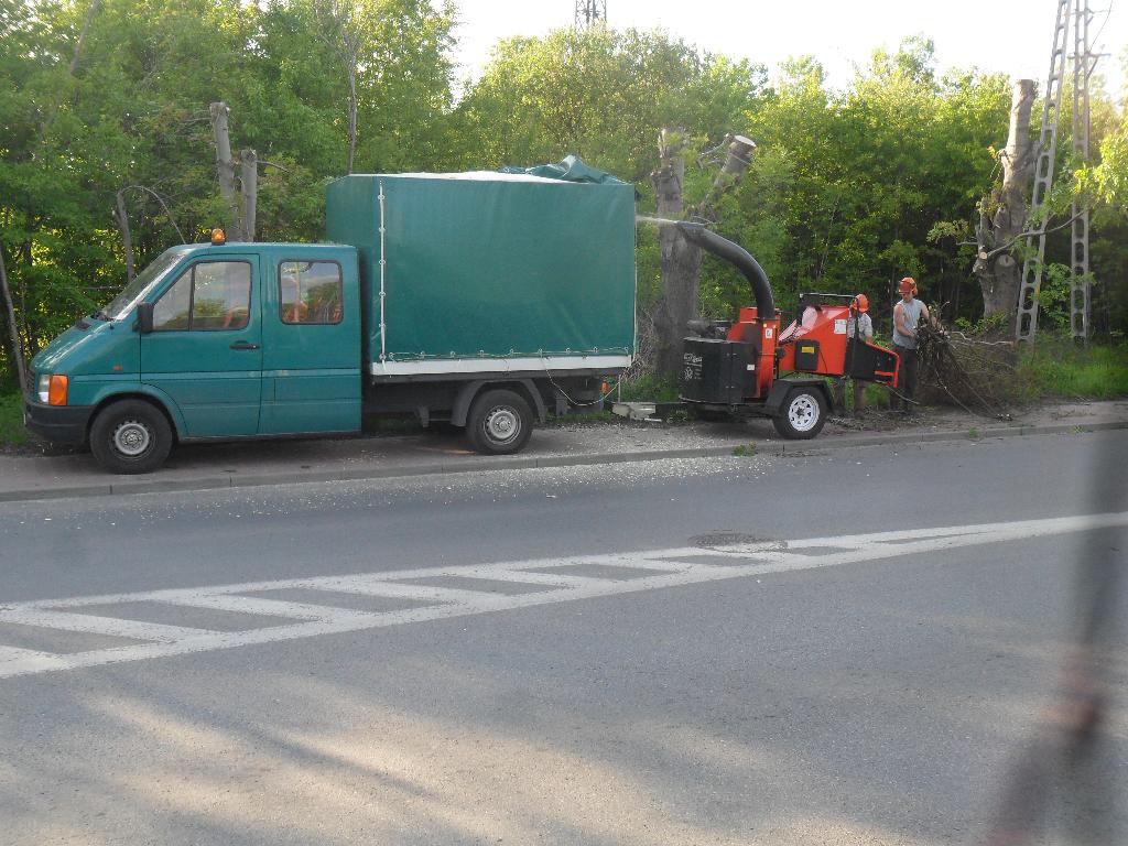 WYCINKA DRZEW PIELĘGNACJA, BĘDZIN,SOSNOWIEC,JAWORZNO,DĄBROWA GÓRNICZA, śląskie