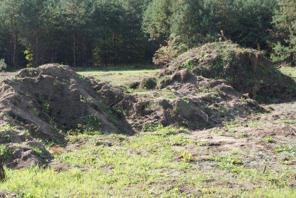 ZIEMIA HUMUS-OGRODOWA, ŁĄKOWA + TRANSPORT RYBNIK, śląskie