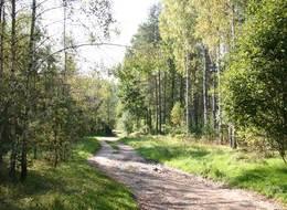 Mazury domek komfortowy zaprasza, Szczytno, warmińsko-mazurskie