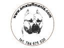Amstaffmania - Internetowy sklep dla psów