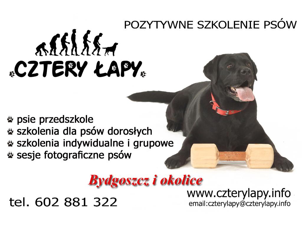 Pozytywne szkolenie psów - psie przedszkole , Bydgoszcz i okolice, kujawsko-pomorskie