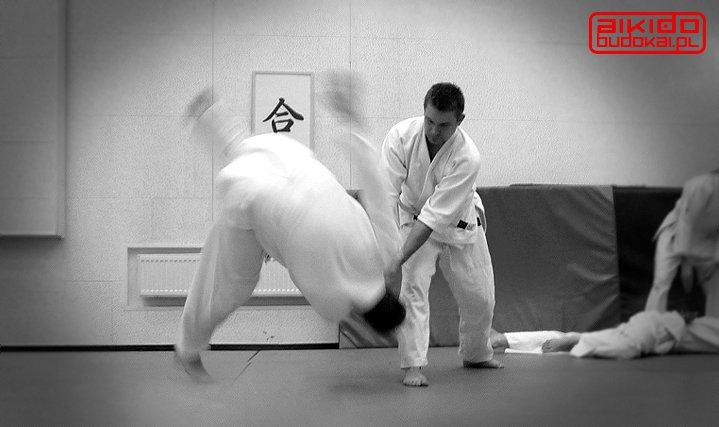 Aikido Sztuki Walki