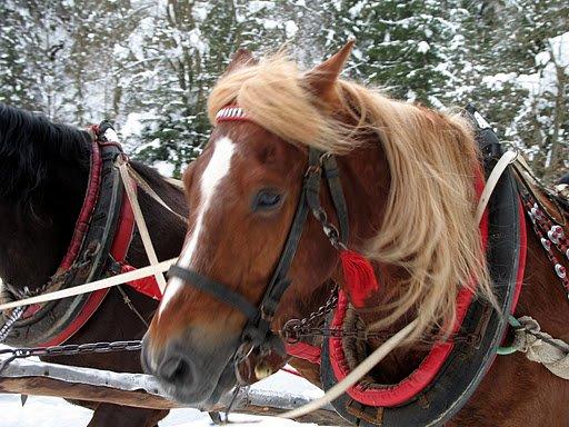 OBÓZ TANECZNY DLA DZIECI - OSTATNIE MIEJSCA!, Wisła, pow cieszyński, śląskie