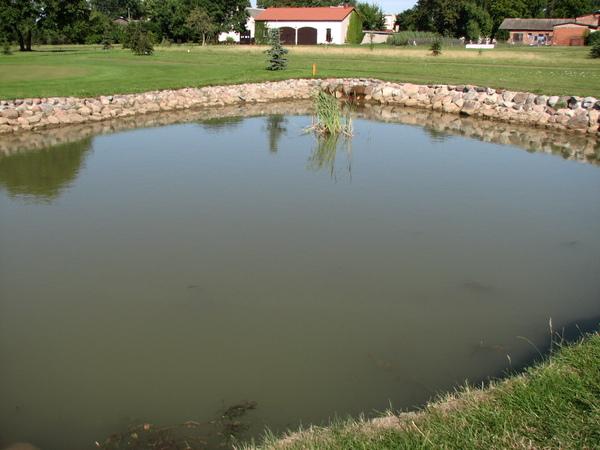 Wykop koparka instalacja instalacje staw zbiornik, Grójec, Mogielnica, Piaseczno ,Prażmów, Chynów, mazowieckie