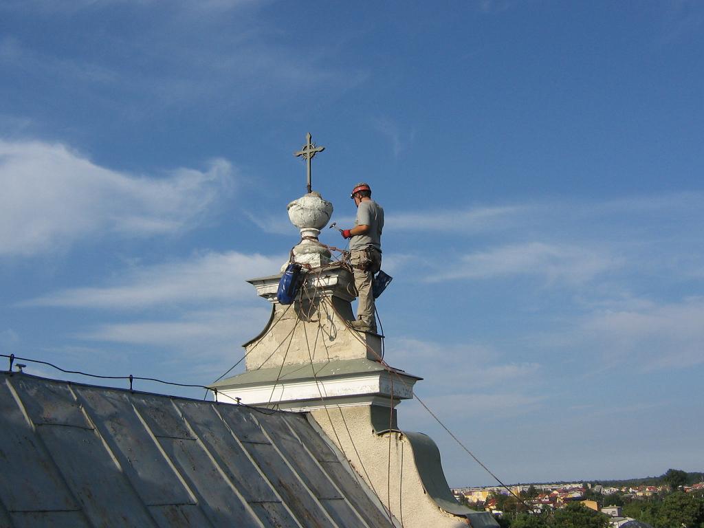 Prace wysokościowe zbiór szyszek nasion z drzew, Pionki, mazowieckie