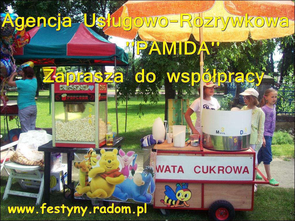 Dmuchańce, zamki dmuchane,zjeżdżalnie na festyny , Radom,Warszawa,Kielce,Lublin,Tarnobrzeg,Kraków,, mazowieckie