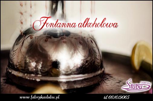 fontanna alkoholowa wynajem Rzeszów krosno jasło