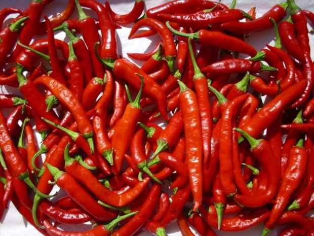 Thai Chili Fire Dragon