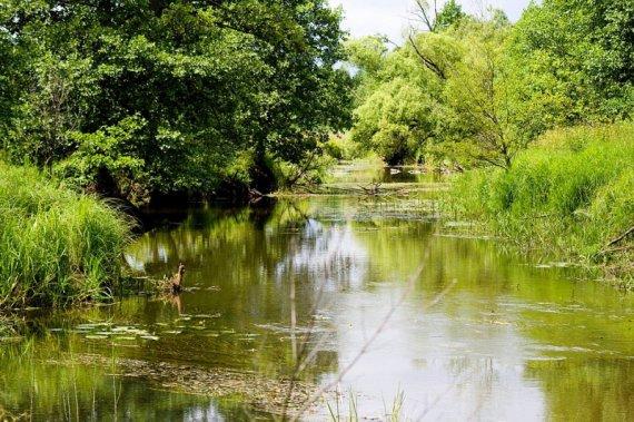 Las puszcza Białowieża żubr weekend urlop , Narewka, podlaskie