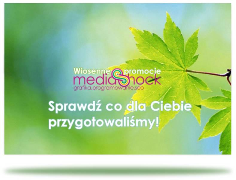Grafika, tworzenie stron www, wsparcie IT dla firm, Łódź, łódzkie